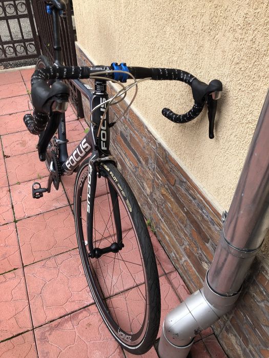 Semicursiera carbon Focus