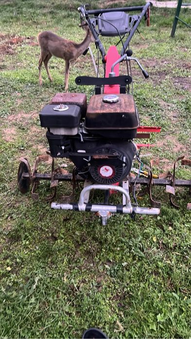vand motocultor rotakt