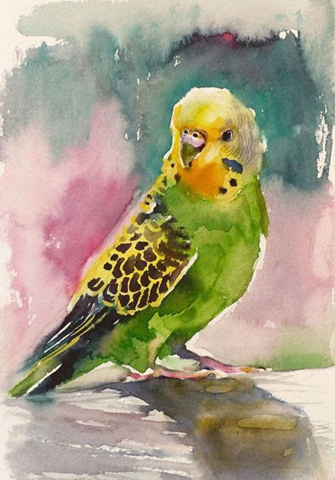 Попугай с клеткой