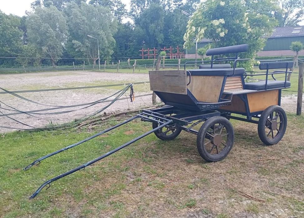 Trăsură 6 locuri