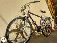 Bicicleta Epple roți pe 28