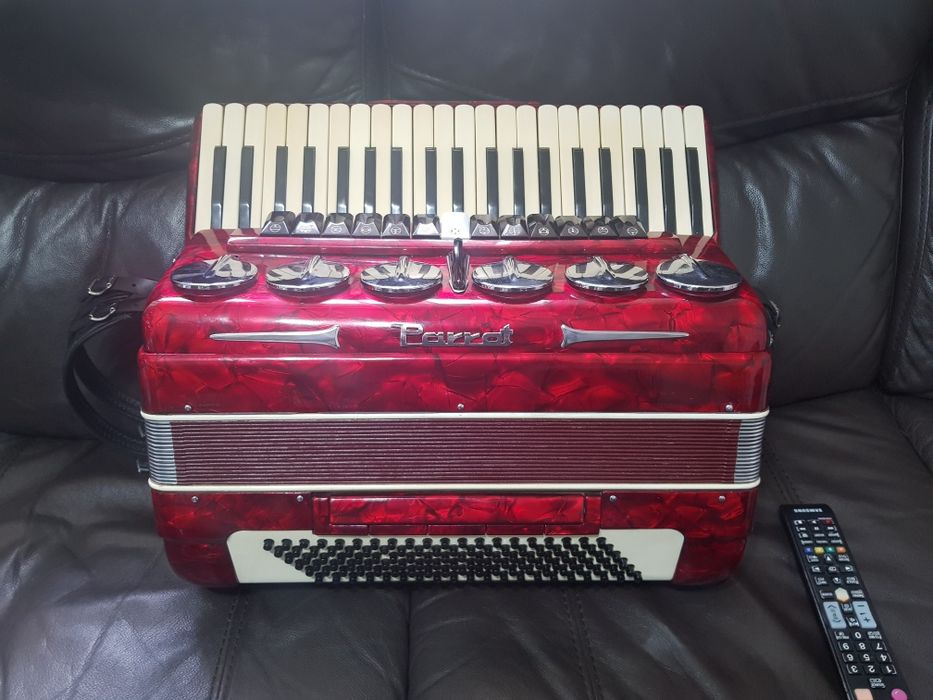 Acordeon parrot in perfecta stare de functionare
