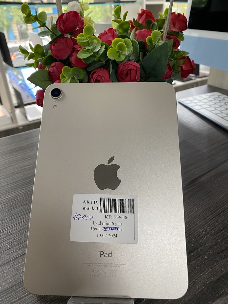 Ipad mini 6 generation