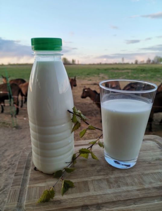 Свежие молоко по домашний