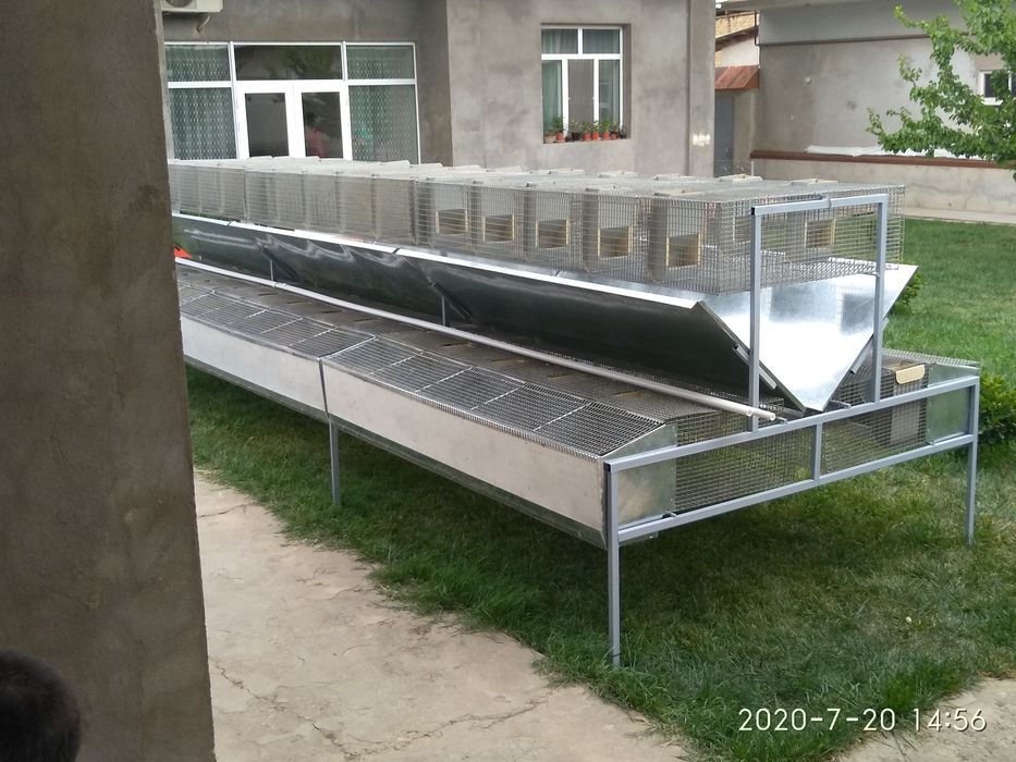 Клетка .Куёнлар  ва Жужа учун.