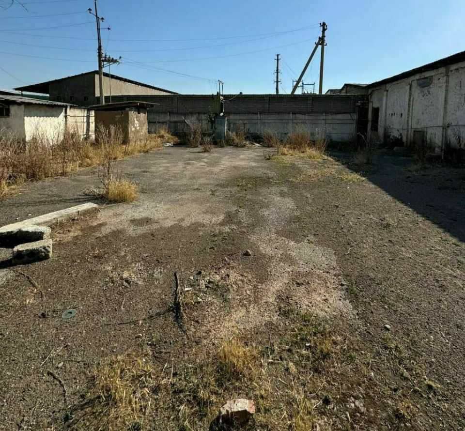 Продаётся птицеферма.