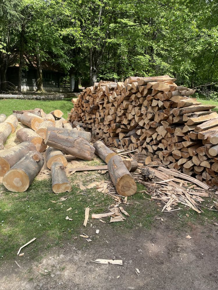 ‼️Vindem lemne de foc esențe tarii[Fag,Gorun,Carpen,Cer]