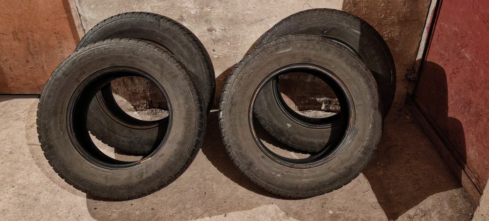 Зимни гуми Lassa Competus winter 2 205/70/15