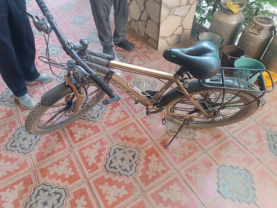 Velek velik gonchik