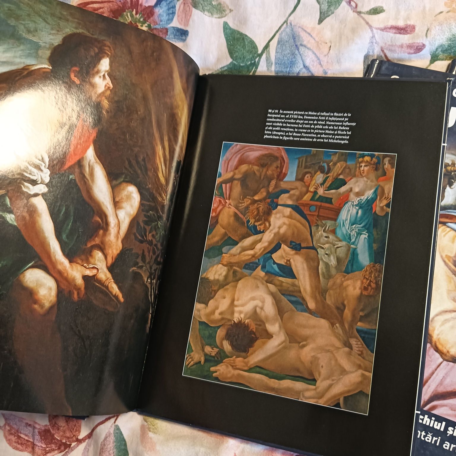 Colectie 5 albume Mituri Biblice