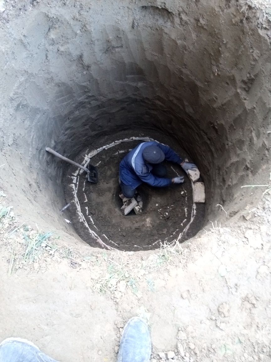 Kalodis qazish xizmati