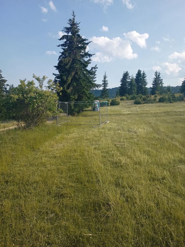 Продава се Парцел в с. Проглед, Област Смолян - 12660 кв.м за 18 €/кв.м - Снимка #2