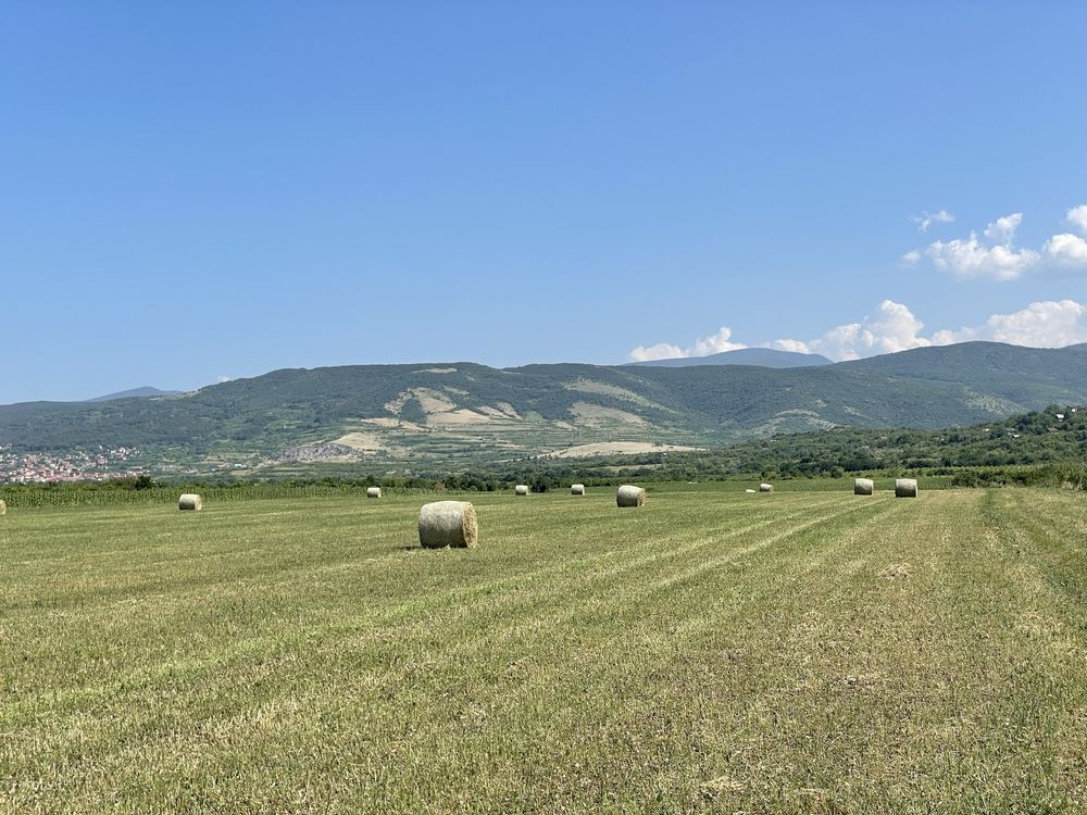 Рулонни бали люцерна с трева