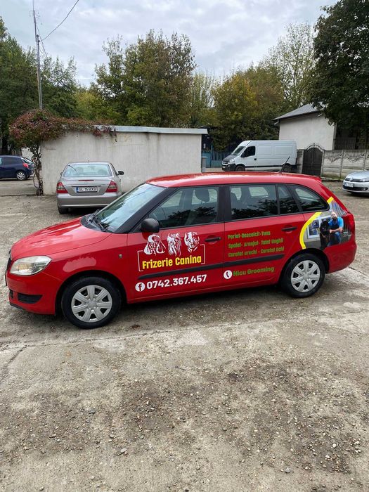 Vând Skoda FABIA 1.4 MPI 2012, înmatriculată, stare tehnică excelentă