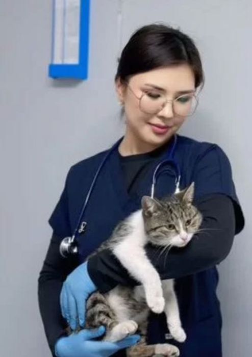 Ветеринар на выезд ветеринарный врач дом вызов кремация усыпление