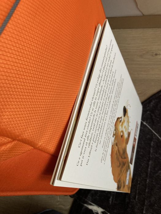 Set 2 carti copii 3+