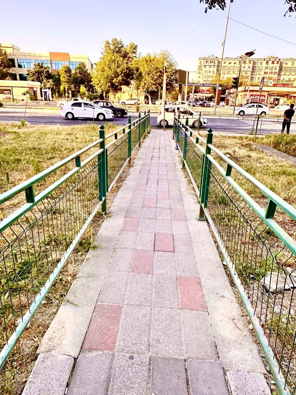 Euro (setka) zabor