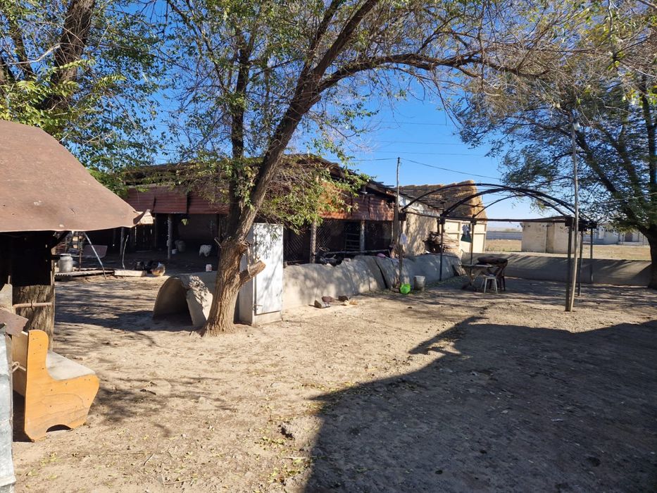 Продается фазенда