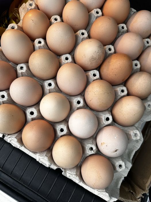 Oua de tara de vanzare