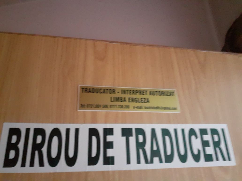 Traduceri, meditatii limba engleza