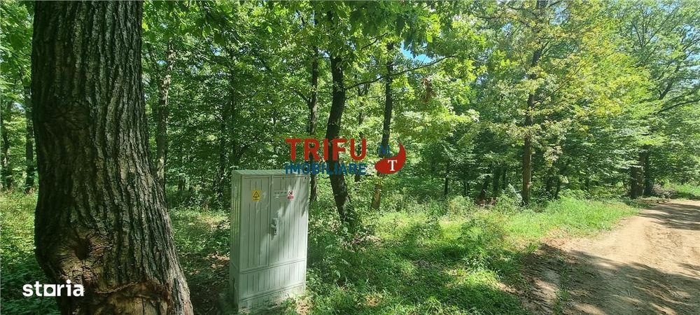 Teren intravilan 3177 mp de vanzare Alba-Micesti spre padure cu PUZ ap