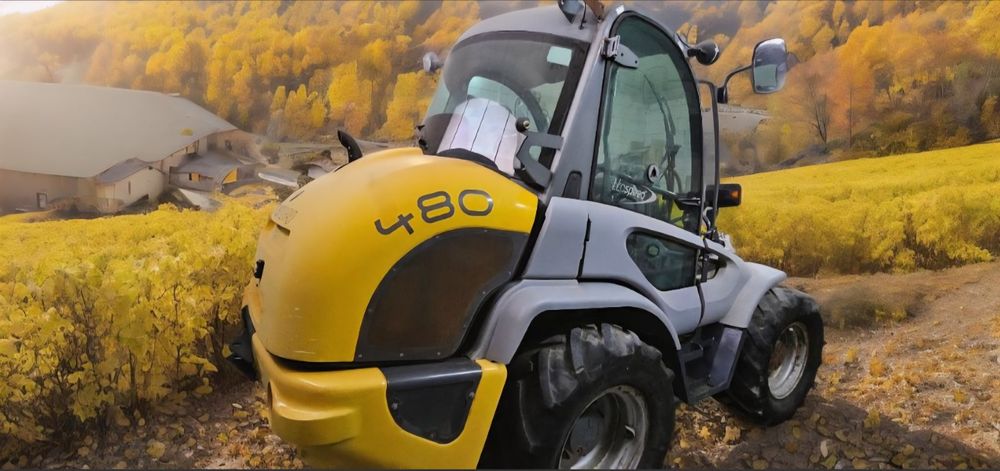 Vola Kramer 480 Allrad. An fabricație 2006