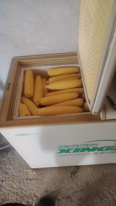 Холадилник моразилнк сатилди