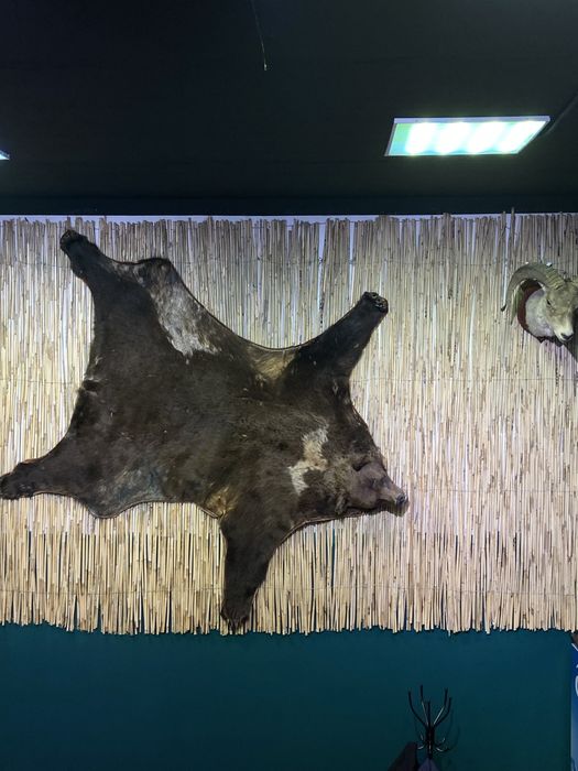 Продается в городе астана