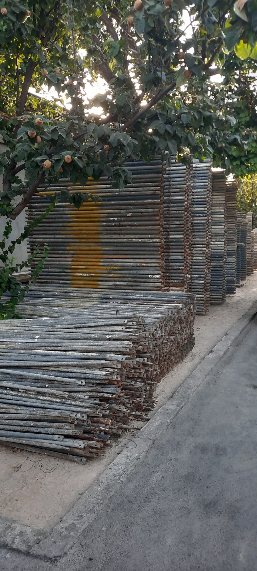 Lesa arenda pradaja