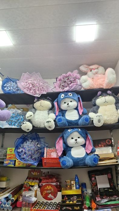 Teddy Kapalak Gul Shar