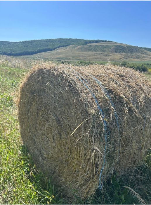 Baloți fân de vanzare