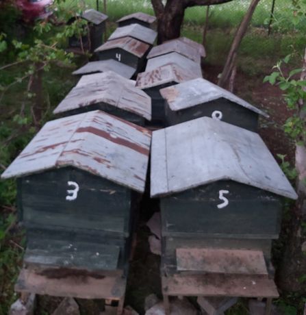 15бр. Пчелни кошери Дадан-Блат 12 рамкови