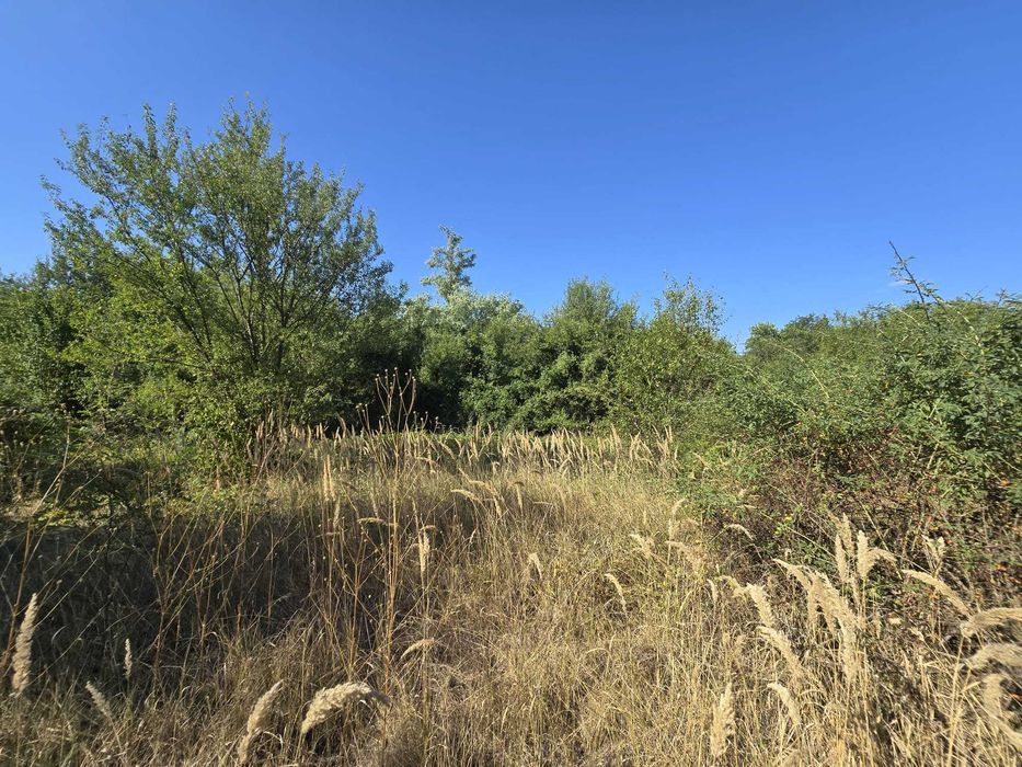 Teren vanzare Ciolpani / Luparie