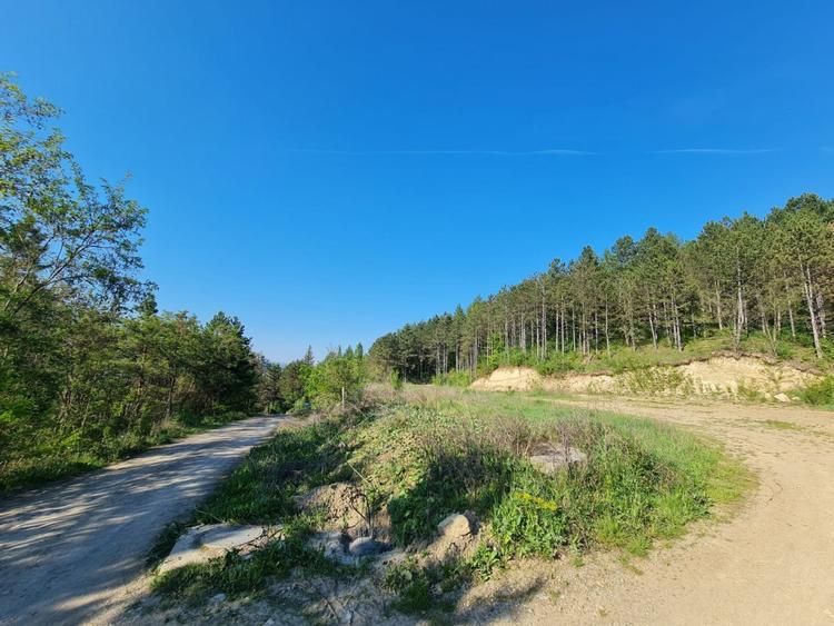 Teren intravilan de vanzare, zona Sf Ion, Parurea Faget