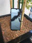 Samsung Galaxy A02s A025G Dual-SIM