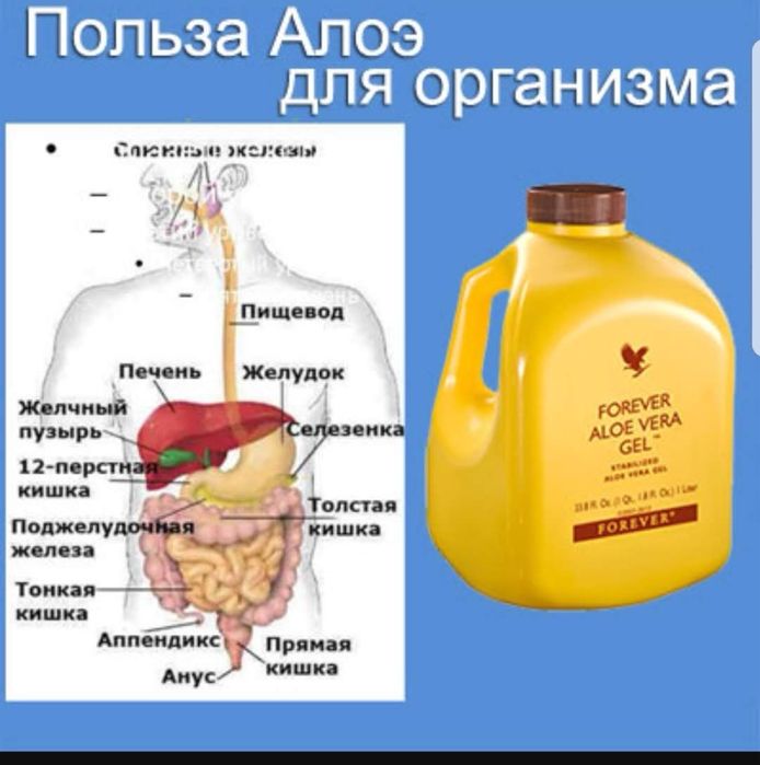 Алое вера спрей Форевер