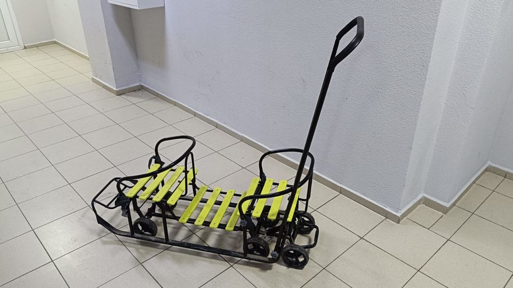 Сани , Шана зимный