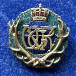 Insigna 1919-raritate
