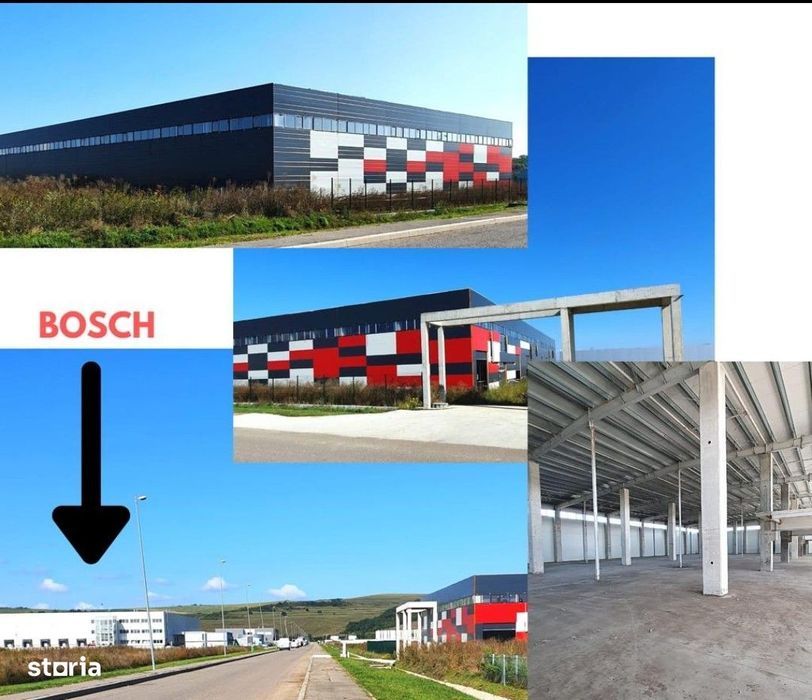 Hala de vanzare Tetarom 3