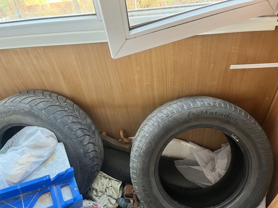 Шина дарим бесплатно