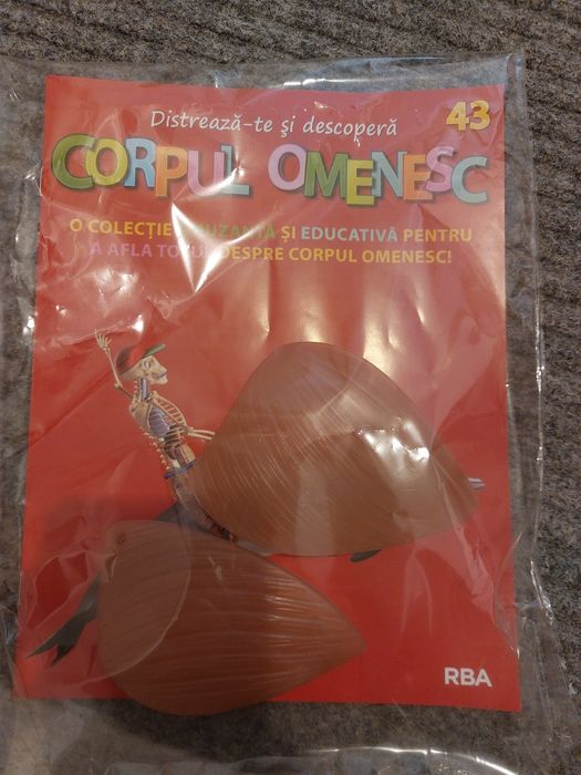 Corpul omenesc nr.43