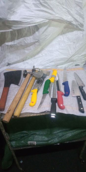 Satare pt tomcat carne