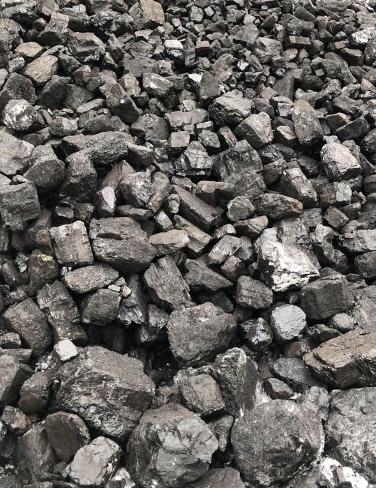 Уголь кузнецк шубаркуль майкуба дубоский