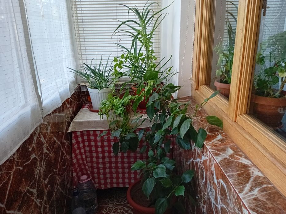 Apartament spatios