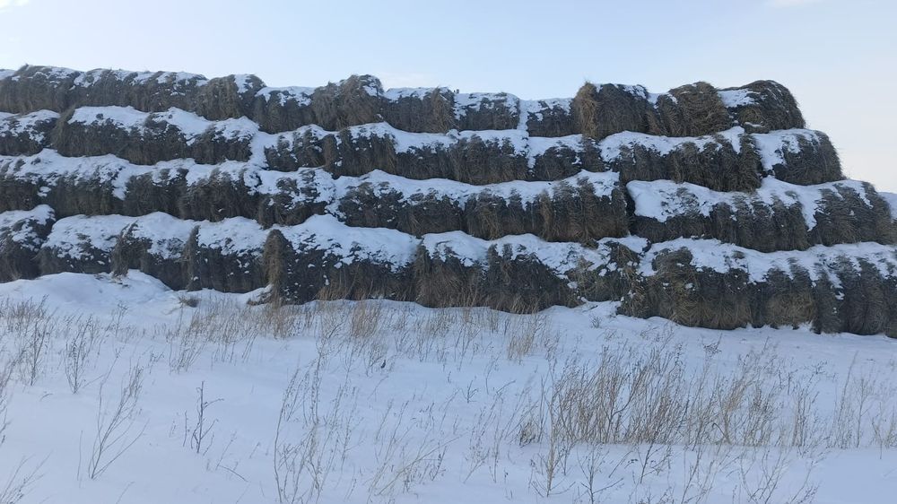Продам сено в рулоне с доставкой