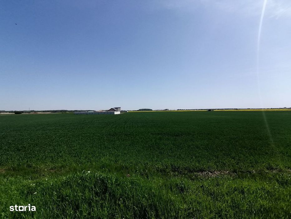 Teren intravilan 9313 mp in comuna 1 Decembrie - Ilfov