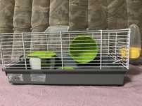 Cușcă hamster pitic