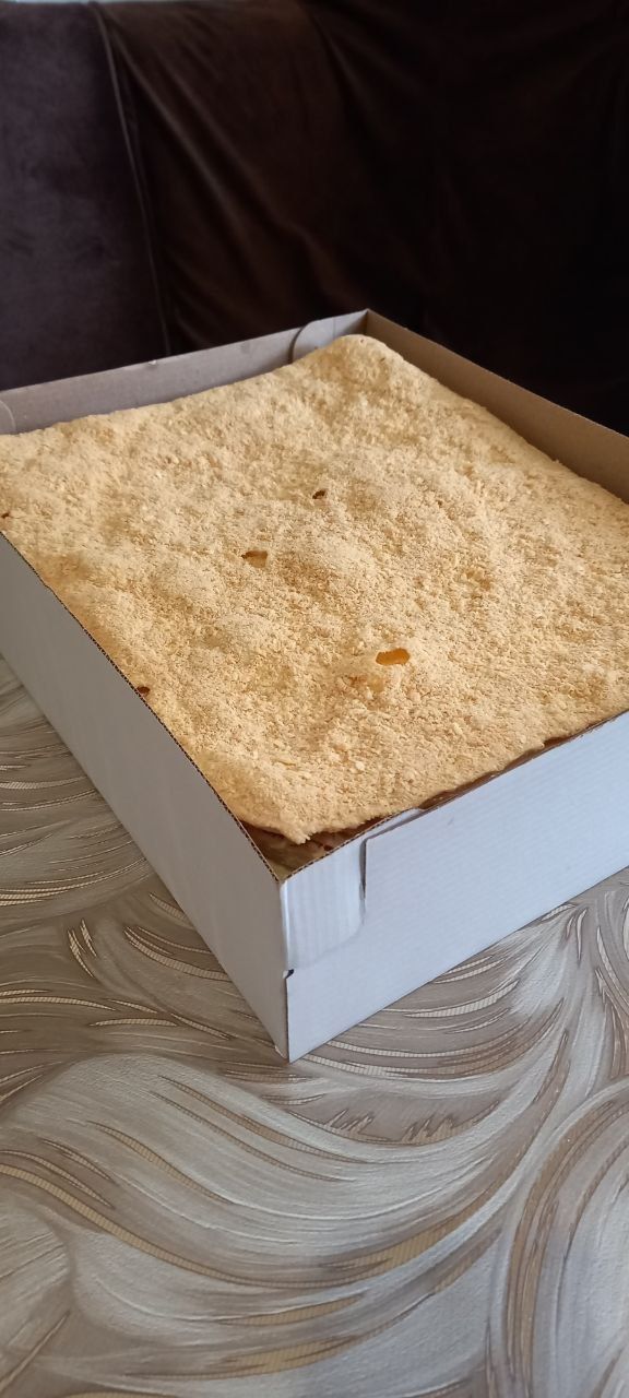 Napaleon Saryoqqa Bo'lgan.