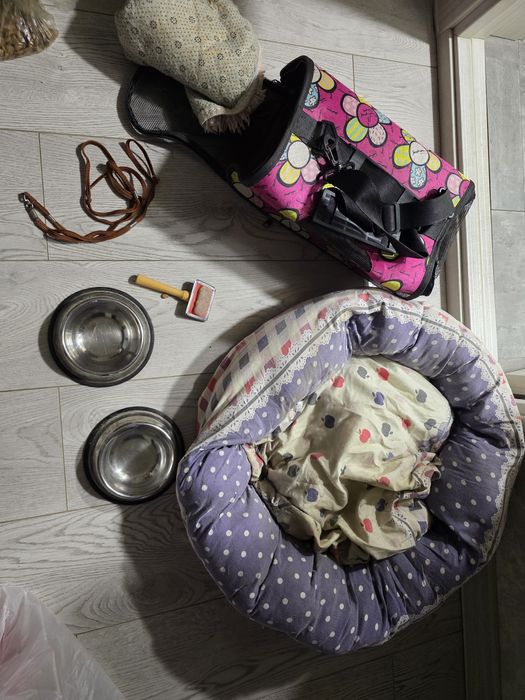 Аксессуары для собак и кошек