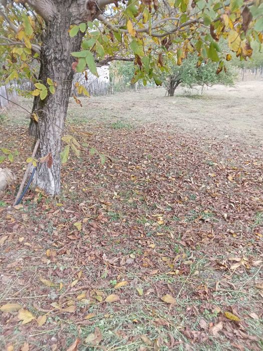 Teren oferit spre vanzare, Sambotin 3549 mp